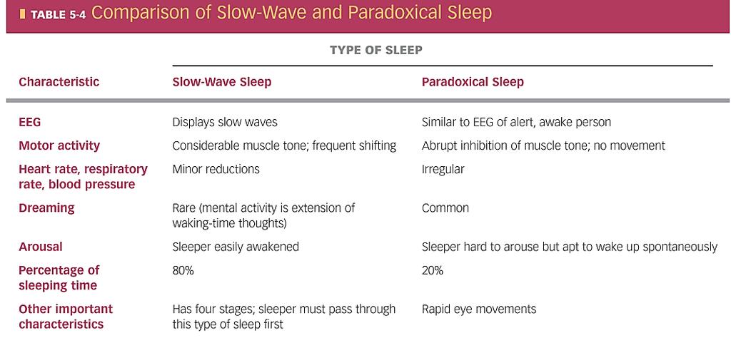 Спиење со бавни бранови Различни фази според длабочината (за 30-45 min од фаза 1 до фаза 4 4 до 1 REM; ~4х во ноќта) Промени во вегетативните функции (благи редукции), присутен тонус Сонување (vs.