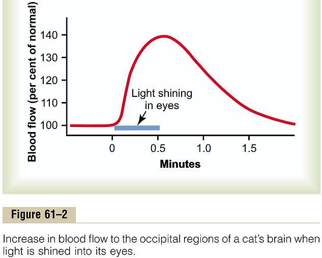 Мерење на протокот на крв низ мозокот и