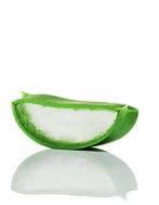 Aloe Vera Αντηλιακή Κρέμα SPF 50 Κρέμα για