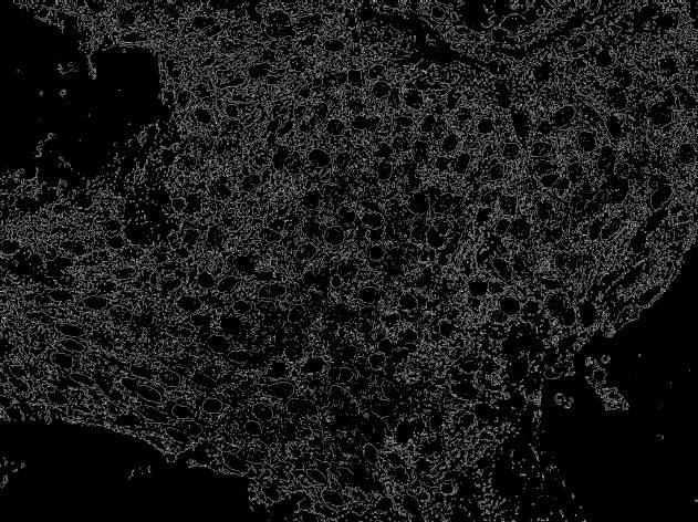 Γ Δ Ε Ζ 6.