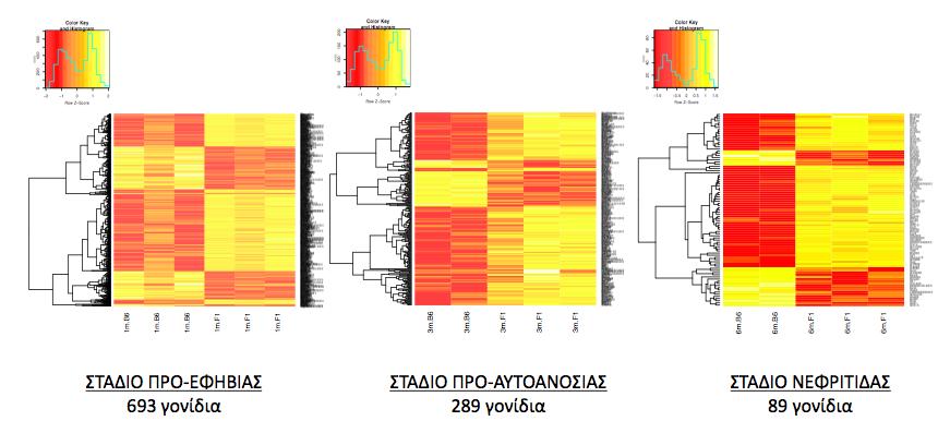 RNA-Sequencing ΣΕ NZB/W-F1 ΠΡΟΤΥΠΑ ΛΥΚΟΥ Γονίδια ουδετεροφίλων (μόρια