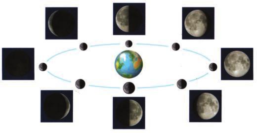 الحركة المدارية للقمر: يدورالقمر حول االرض في مدارالقطع الناقص ( بيضوي( ويميل مستوي هذا المدار عن مستوي مدار االرض بزاوية قياسها ( 0 5.2( تقريبا كما في الشكل) 13-5 (.