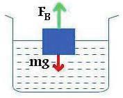 كثافة الجسم اصغر من كثافة السائل ) F B > mg ) الجسم كتلة الماء المزاح =