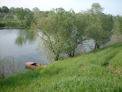 Слика 7. Бегеј између Зрењанина и Клека (www.panoramio.