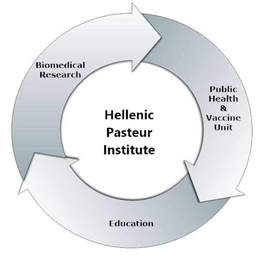 Διεξαγωγή βασικής και εφαρμοσμένης βιοϊατρικής έρευνας με έμφαση στα λοιμώδη νοσήματα του ανθρώπου και των ζώων.