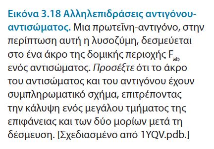 συνθετικά πεπτίδια, είναι επίσης ικανά να προκαλέσουν την σύνθεση αντισωµάτων µε την προϋπόθεση να είναι δεσµευµένα σε έναν µακροµοριακό