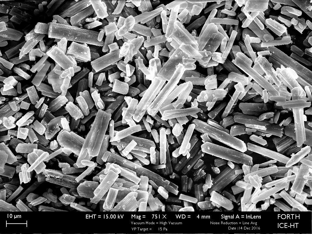 Εικόνα 5.5 : SEM κρυστάλλων στρουβίτη οι οποίοι σχηματίσθηκαν σε υπέρκορα διαλύματα. ph =9.5, NaCl 0.1M,25 o C, Hg(II)]=0.01 mm 5.3.