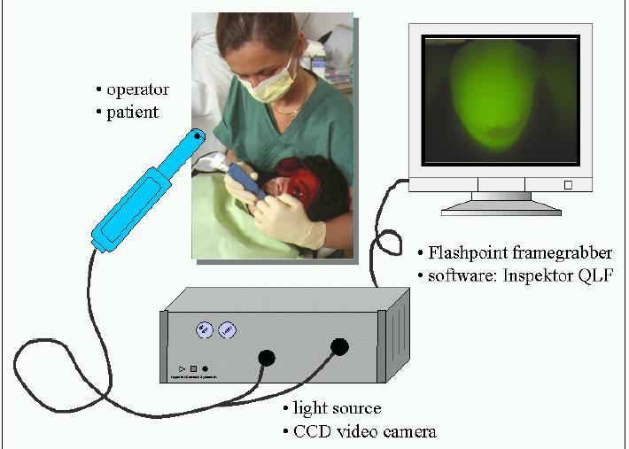 Quantitative Light-induced