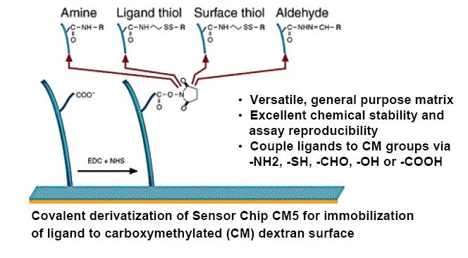 Sensor Chip CM5 Καρβοξυ-μεθυλιωμένη επιφάνεια δεξτράνης