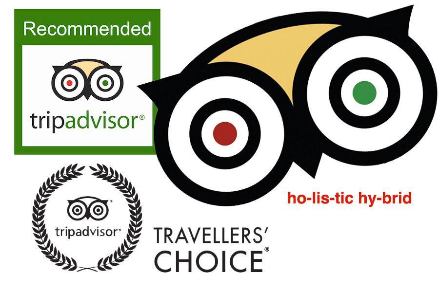 Το TripAdvisor είναι το μεγαλύτερο ταξιδιωτικό site στον κόσμο, με περισσότερα από 315 εκατομμύρια μέλη και πάνω από 500 εκατομμύρια σχόλια και απόψεις ξενοδοχείων, εστιατορίων, αξιοθέατων και άλλων