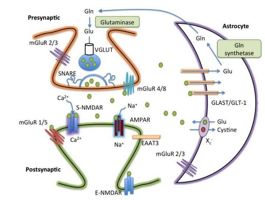 Προσυναπτική ρύθμιση έκλυσης γλουταμικού Μείωση απελευθέρωσης: Μέσω των μεταβοτροπικών