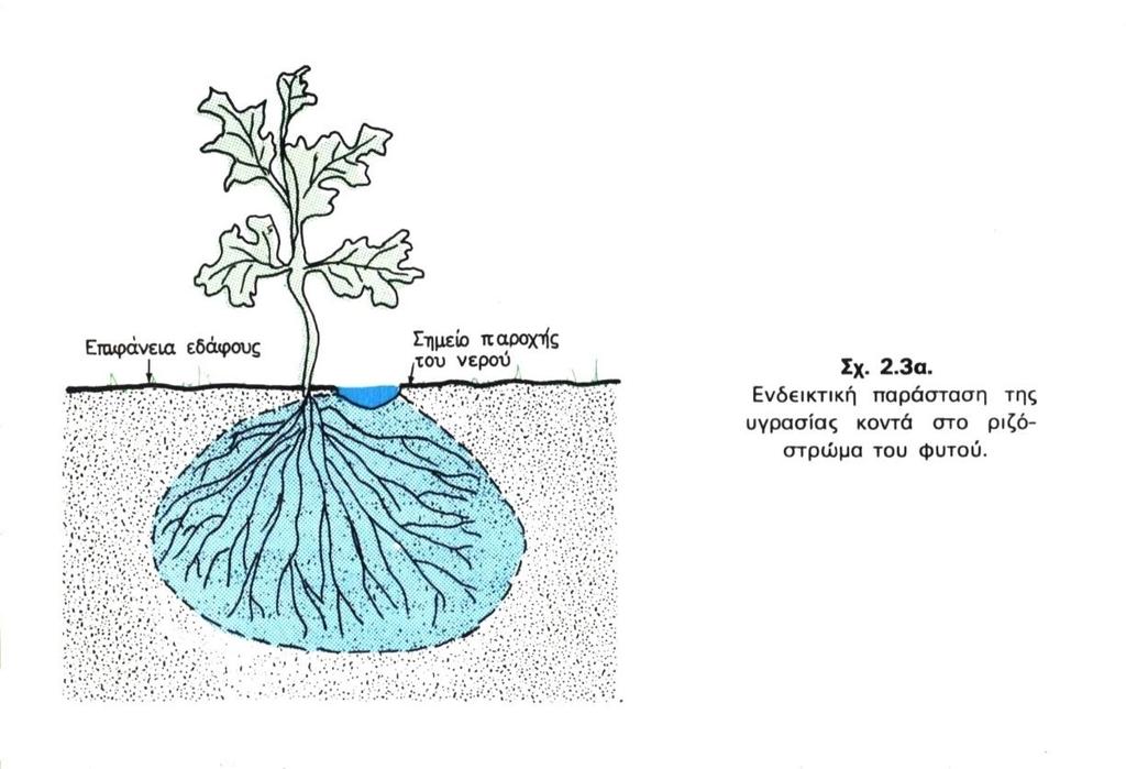 2.3 Άρδευση με σταγόνες 2.3.1 Γενικά Με τη μέθοδο αυτή, γνωστή και ως στάγδην άρδευση, το αρδευτικό νερό χορηγείται κατά σταγόνες στην περιοχή του κύριου ριζοστρώματος τρων φυτών και μόνο σ αυτή με