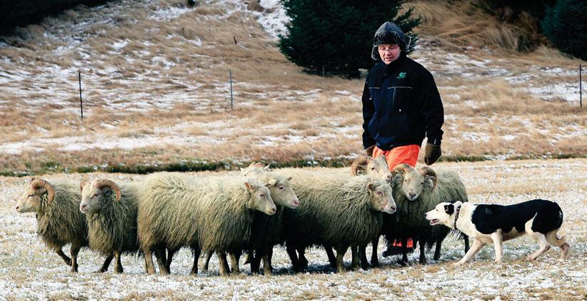 14 18 24-25 Líkjörar og snafsar úr íslensku hráefni Þúsundþjalasmiður í háloftunum Dýravelferð á Íslandi verði á stalli með svissneskum úrum 3. tölublað 2013 Fimmtudagur 7. febrúar Blað nr. 388 19.