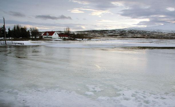 Kal er skemmd á lífverum sem má rekja beint eða óbeint til áhrifa af kulda. Kal verður því ekki bara á grösum heldur getur það einnig orðið á mönnum og skepnum ef frumur líkamans frjósa.