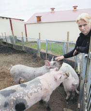 Grímsnesi. Hún leggur metnað í rekstur svínabúsins og finnst mikilvægt að almenningur og neytendur séu upplýstir um það sem þar er gert.