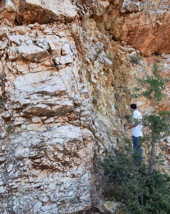 Ξεκινώντας από την τομή Β (διαχωρίζεται σε Β.North και B.South) παρατηρήθηκε ρήγμα ΒΒΑ-ΝΝΔ διεύθυνσης κανονικού χαρακτήρα όπως αποτυπώνεται και στην εικόνα 4.5. Εικόνα 4.5: Τομή Β.