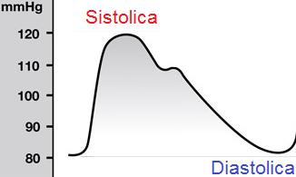 Functia densitate de probabilitate Hipertensiune.