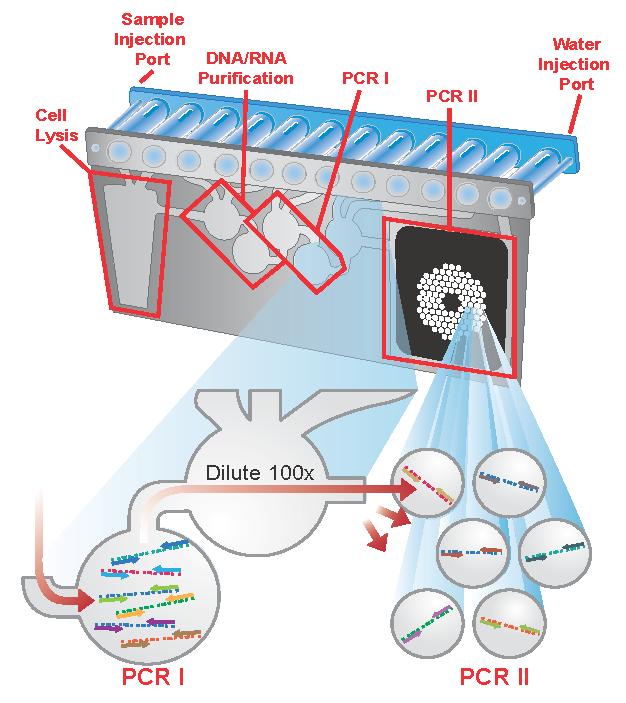 29 FilmArray platform: Nucleic-acid-based method Multiplex PCR Δείγματα: θετική αιμοκαλλιέργεια κόπρανα δείγμα αναπνευστικού (φαρυγγικό) ΕΝΥ Αυτόνομο σακουλάκι με όλα τα αντιδραστήρια ενσωματωμένα: