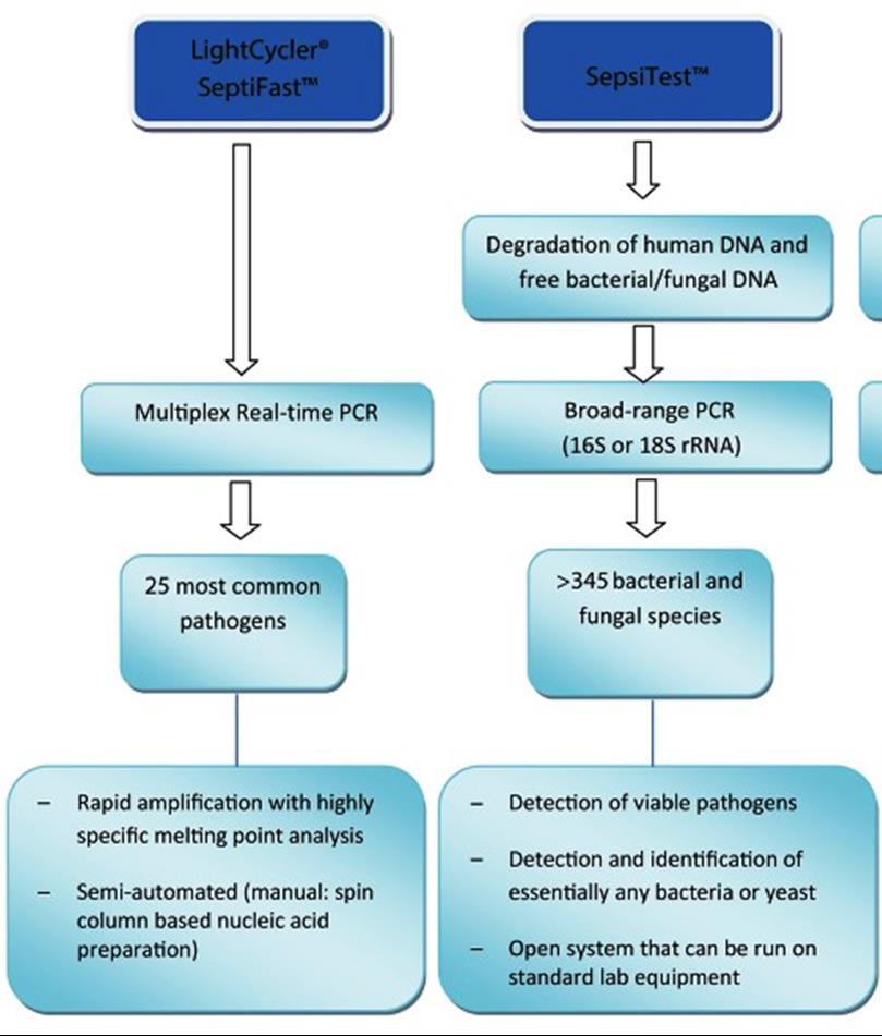 32 LightCycler SeptiFast SepsiTest