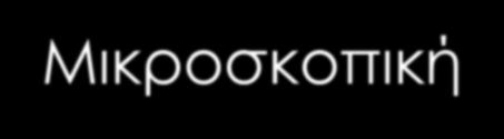 + Μικροσκοπική Ιστολογική Καλλιέργεια 6 + = Εργαστηριακά τεκμηριωμένη