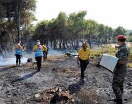 ΠΑΡΟΥΣΙΑΣΗ και Μονάδων. Κύρια επιδίωξη αποτελεί η προσαρμογή της εκπαίδευσης και των τακτικών ασκήσεων, στις επιχειρησιακές αποστολές των διαφορετικών Σχηματισμών της Μεραρχίας.