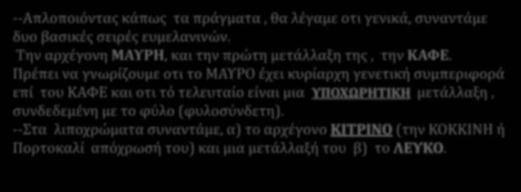 --Απλοποιόντασ κάπωσ τα πράγματα, θα λέγαμε