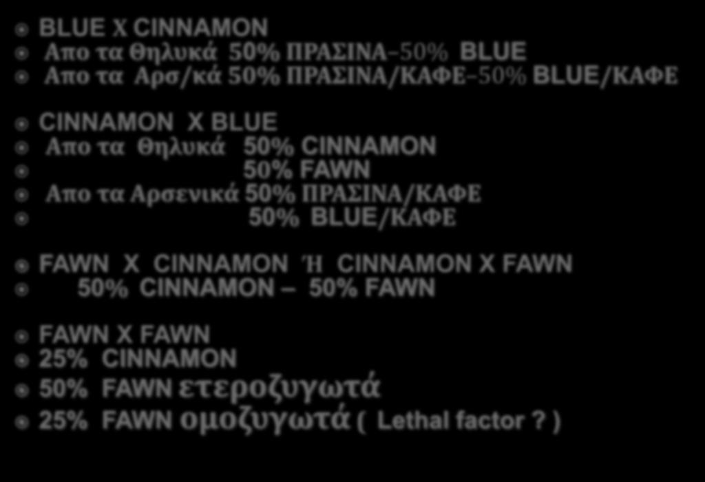 BLUE Φ CINNAMON Απο τα Θηλυκϊ 50% ΠΡΑΙΝΑ 50% BLUE Απο τα Αρς/κϊ 50% ΠΡΑΙΝΑ/ΚΑΥΕ 50% BLUE/ΚΑΥΕ CINNAMON X BLUE Απο τα Θηλυκϊ 50% CINNAMON 50% FAWN Απο τα Αρςενικϊ 50%