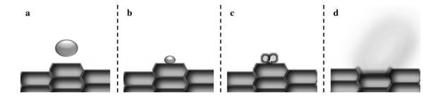 8: Μηχανισμός της λύσης του κυτταρικού τοιχώματος (α) λύση του κυτταρικού τοιχώματος λόγω της δημιουργίας ρωγμής στην κοιλότητα (β) διάχυση του διαλύτη μέσα στη δομή του κυττάρου (Shirsath et al.