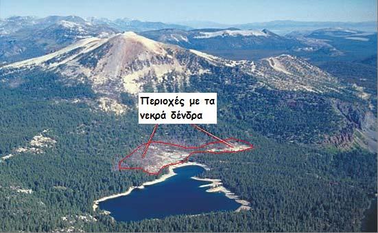 την περιοχή. Μια τέτοια περιοχή βρίσκεται στην λίμνη Horsehoe στην βάση του ηφαιστείου Mammoth Mountain στην Καλιφόρνια των Η.Π.Α.