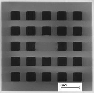 TEM Grid