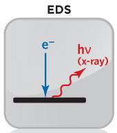 The number and energy of the X-rays emitted from a specimen can be measured by an energy-dispersive