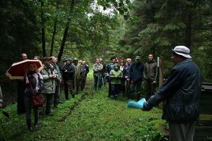 LVMI Silava zinātniskā darba virzieni Meža kapitālvērtības palielināšana Mežsaimniecības un vides mijiedarbība zināšanas mežsaimniecisko darbību racionālai izvietošanai meža ekosistēmās
