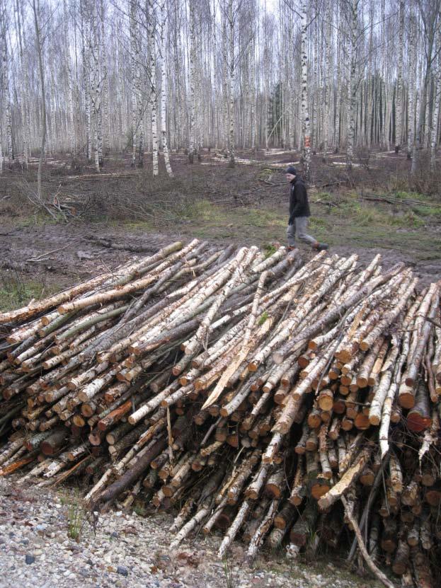 LVMI Silava zinātniskā darba virzieni Meža nekoksnes servisi Meža enerģētika Nekoknes servisi ir tiešs un neprecīzs jēdziena non-timber services tulkojums un ietver meža ekosistēmu pakalpojumus, kas