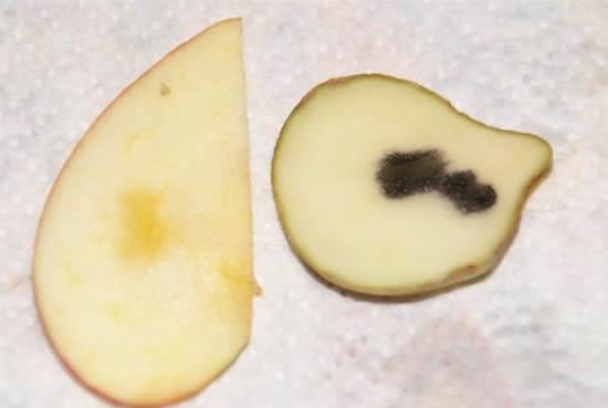 Χρώση ιωδίου σε ώριμο μήλο και πατάτα