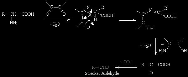 Amadori και που καταλήγουν στη μετατροπή των αμινοξέων σε αλδεΰδες (αποικοδόμηση Strecker) και CO 2.