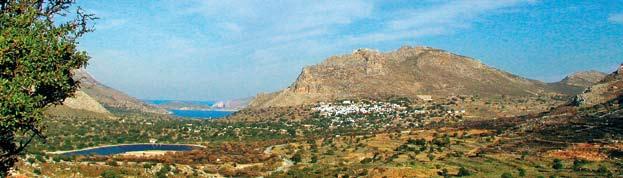 Όμως στη μικρή Τήλο, απαντούν από τέσσερα έως πέντε ζευγάρια, γεγονός που καθιστά αυτό το νησί ξεχωριστό!