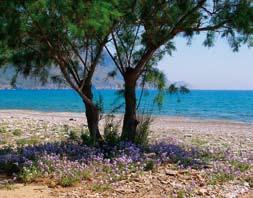 LIFE04NAT/GR/000101, ξεκίνησε να υλοποιείται τον Νοέμβριο του 2004. Η διάρκειά του είναι 40 μήνες και ο προϋπολογισμός του ανέρχεται στα 824.212.