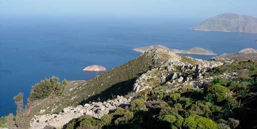 Συνοπτικά, οι δράσεις και τα μέσα που περιλαμβάνονται στο πρόγραμμα LIFE - Φύση για την αντιμετώπιση των απειλών είναι: Προστασία και Διαχείριση πουλιών 1.