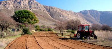 The project s actions Category A: Preparatory actions, preparation of management plans Action A1: Work and Management plan for the program actions and the three targeted bird species The action