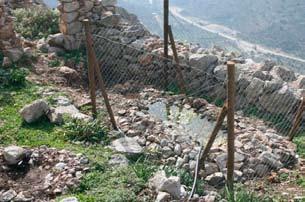 Οι πληθυσμοί πολλών ασπόνδυλων (εντόμων), πουλιών (περδίκων), ερπετών (σαυρών) και (μικρο)θηλαστικών ενισχύθηκαν με τις φυτεύσεις και τις περιφράξεις νέων δέντρων βελανιδιάς και γραμμιθιάς σε διάφορα