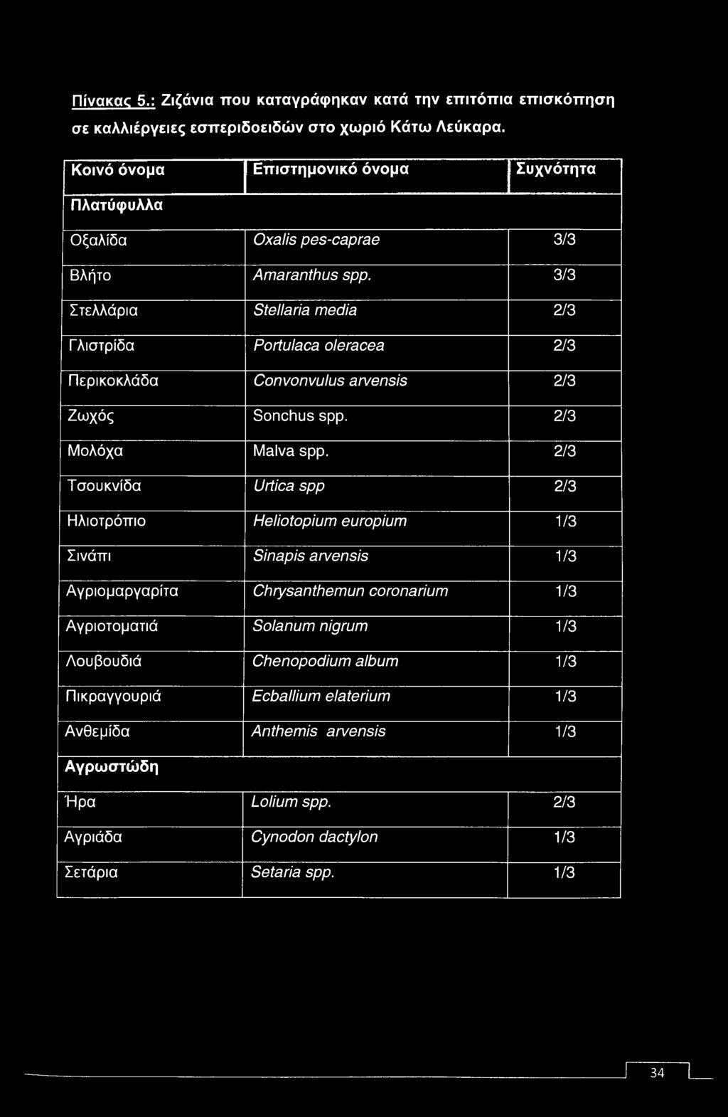 3/3 Στελλάρια Stellaria media 2/3 Γλιστρίδα Portulaca oleracea 2/3 Περικοκλάδα Convonvulus arvensis 2/3 Ζωχός Sonchus spp. 2/3 Μολόχα Malva spp.
