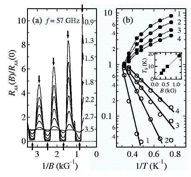 Experiment: Temperature dependence Mani et al.