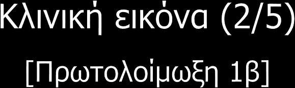 λεμφαδενοπάθεια, δυσουρία, κ.α Εμφάνιση νέων βλαβών συμβαίνει για 2-3 εβδομάδες.