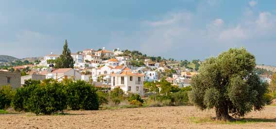 Άγιος Θεόδωρος Γραφικό χωριό με ιδιαίτερο παραδοσιακό χαρακτήρα.