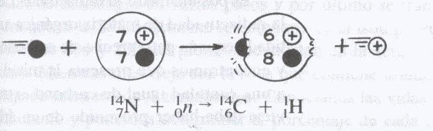 Beraz, elementu erradiaktiboak desintegratzerakoan, beste elementu batzuetan transmutatzen dira.
