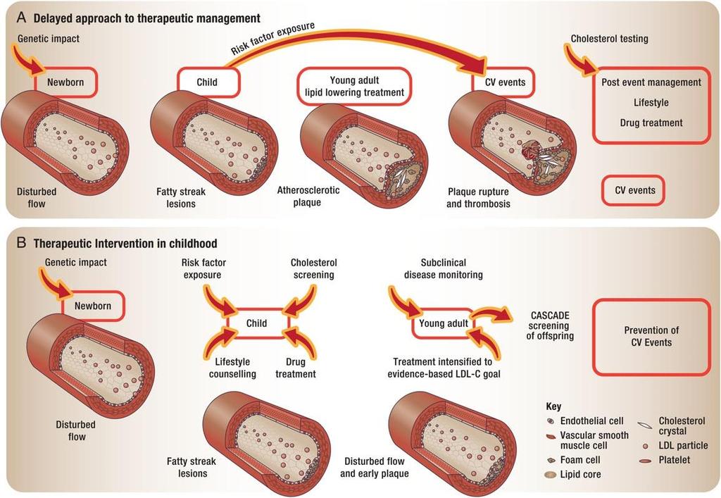 Wiegman et al,