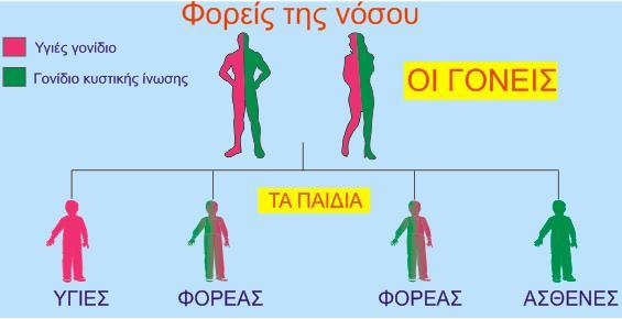 Επιδημιολογικά στοιχεία της κυστικής ίνωσης Η Κυστική ίνωση είναι το συχνότερο