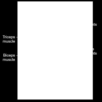 παρατεταμένη αύξηση [Ca 2+ ] κυτ