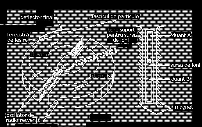 Stanley Livingston, 199) a fost numit ciclotron, şi poate accelera ioni grei la energii de circa 00 MeV/nucleon Două sectoare circulare (duanţi) plasate într-o cameră vidată, în