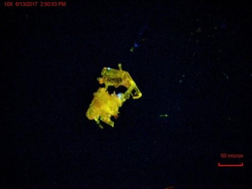 crystals of Er 2 L 3 taken on a CRAIC Microspectrophotometer under ambient light and 365 nm light. 1.2 30 Absorbance 1 0.8 0.6 UV RFU Emission 25 20 15 0.4 10 0.